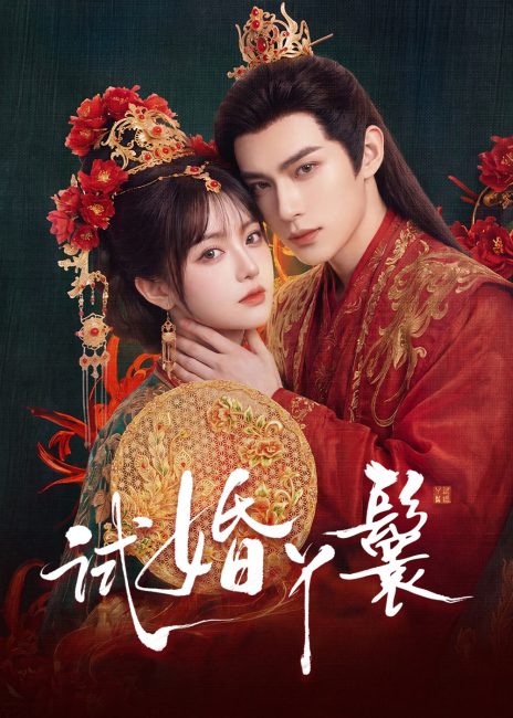 مسلسل خادمة المحاكمة The Trial Handmaiden الحلقة 9 مترجمة
